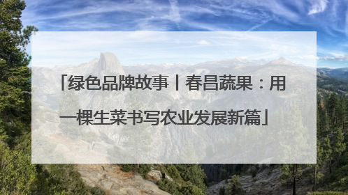 绿色品牌故事丨春昌蔬果：用一棵生菜书写农业发展新篇