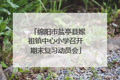 绵阳市盐亭县嫘祖镇中心小学召开期末复习动员会