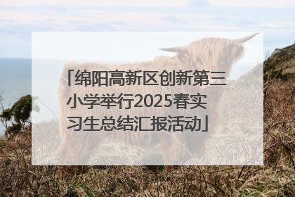 绵阳高新区创新第三小学举行2025春实习生总结汇报活动