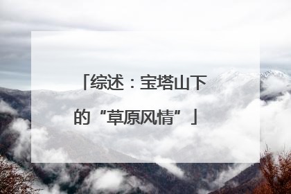 综述：宝塔山下的“草原风情”
