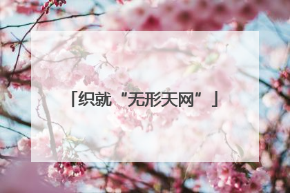 织就“无形天网”