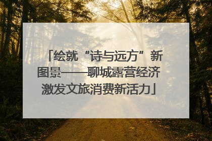 绘就“诗与远方”新图景——聊城露营经济激发文旅消费新活力
