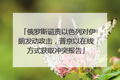 俄罗斯谴责以色列对伊朗发动攻击，普京以在线方式获取冲突报告