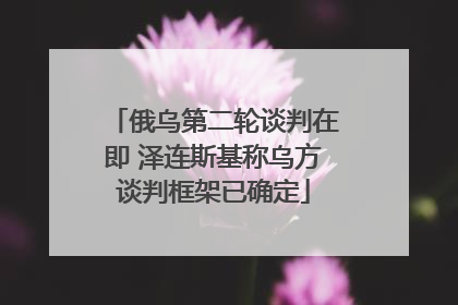 俄乌第二轮谈判在即 泽连斯基称乌方谈判框架已确定