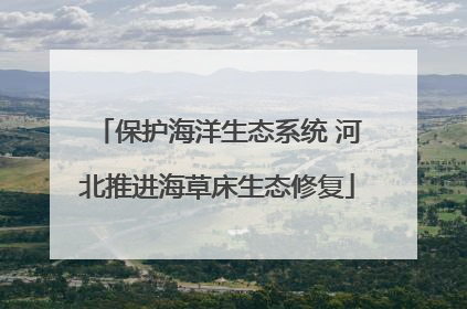 保护海洋生态系统 河北推进海草床生态修复