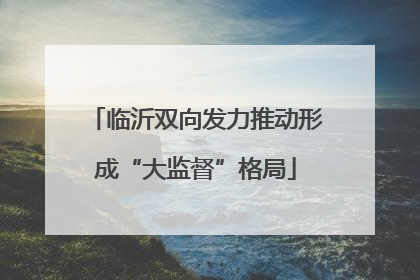 临沂双向发力推动形成“大监督”格局