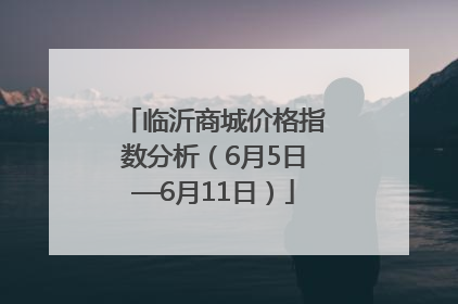 临沂商城价格指数分析（6月5日—6月11日）