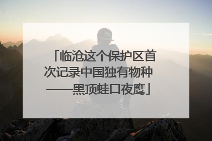 临沧这个保护区首次记录中国独有物种——黑顶蛙口夜鹰