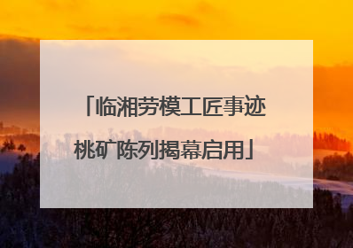 临湘劳模工匠事迹桃矿陈列揭幕启用