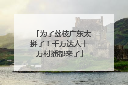 为了荔枝广东太拼了！千万达人十万村播都来了