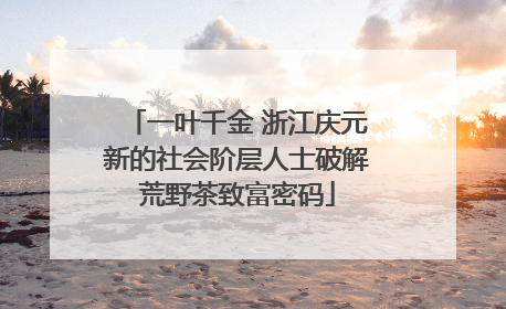 一叶千金 浙江庆元新的社会阶层人士破解荒野茶致富密码