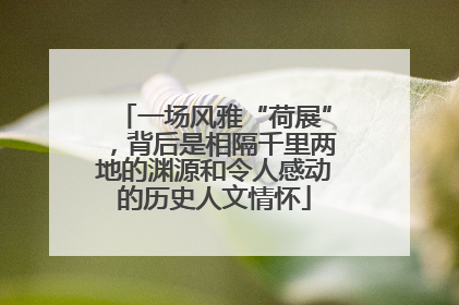 一场风雅“荷展”，背后是相隔千里两地的渊源和令人感动的历史人文情怀
