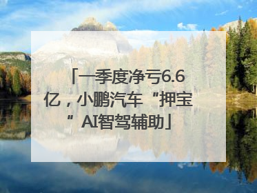 一季度净亏6.6亿，小鹏汽车“押宝”AI智驾辅助