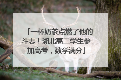 一杯奶茶点燃了他的斗志！湖北高二学生参加高考，数学满分