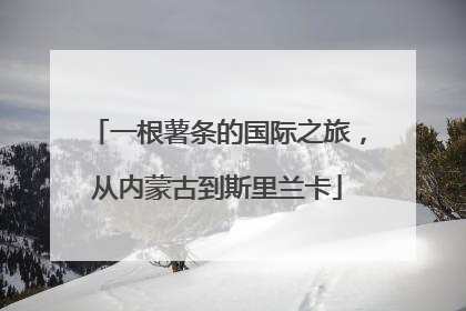 一根薯条的国际之旅，从内蒙古到斯里兰卡