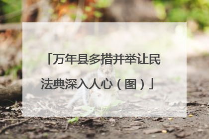 万年县多措并举让民法典深入人心（图）