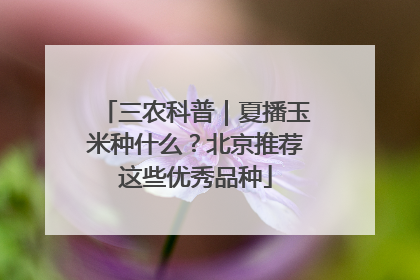 三农科普｜夏播玉米种什么？北京推荐这些优秀品种