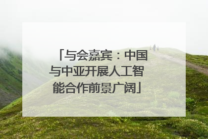 与会嘉宾：中国与中亚开展人工智能合作前景广阔