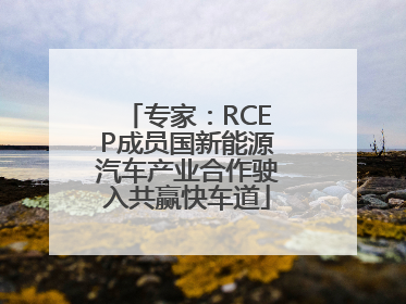 专家：RCEP成员国新能源汽车产业合作驶入共赢快车道