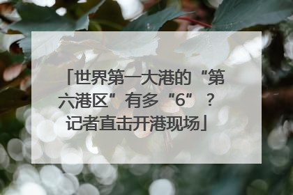 世界第一大港的“第六港区”有多“6”？记者直击开港现场