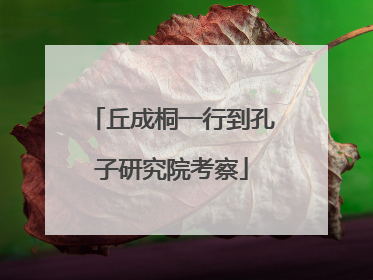 丘成桐一行到孔子研究院考察
