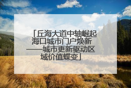丘海大道中轴崛起 海口城市门户焕新——城市更新驱动区域价值蝶变