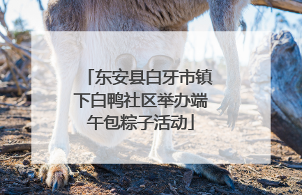东安县白牙市镇下白鸭社区举办端午包粽子活动