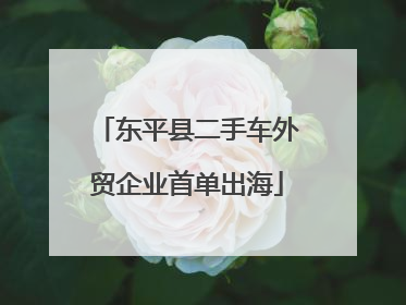 东平县二手车外贸企业首单出海
