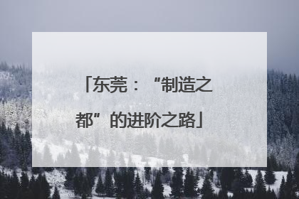 东莞：“制造之都”的进阶之路