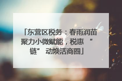 东营区税务：春雨润苗聚力小微赋能，税惠 “链” 动焕活商圈