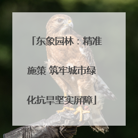 东象园林：精准施策 筑牢城市绿化抗旱坚实屏障