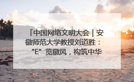 中国网络文明大会｜安徽师范大学教授刘道胜：“E”览徽风，构筑中华民族共有精神家园