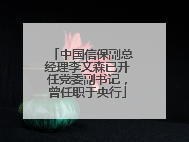 中国信保副总经理李文森已升任党委副书记，曾任职于央行