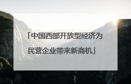 中国西部开放型经济为民营企业带来新商机