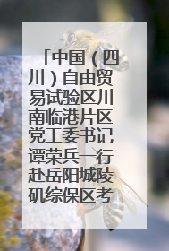 中国（四川）自由贸易试验区川南临港片区党工委书记谭荣兵一行赴岳阳城陵矶综保区考察