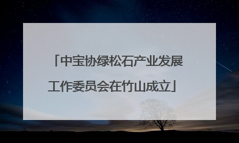 中宝协绿松石产业发展工作委员会在竹山成立