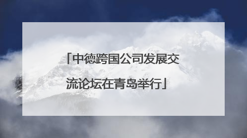 中德跨国公司发展交流论坛在青岛举行
