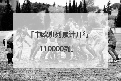 中欧班列累计开行110000列