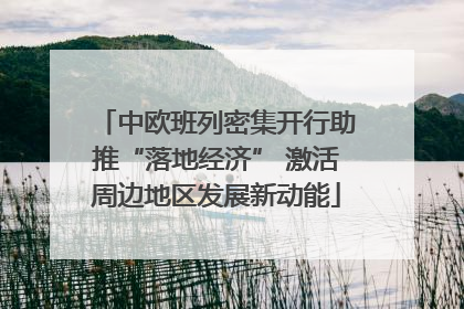 中欧班列密集开行助推“落地经济” 激活周边地区发展新动能