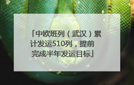 中欧班列（武汉）累计发运510列，提前完成半年发运目标