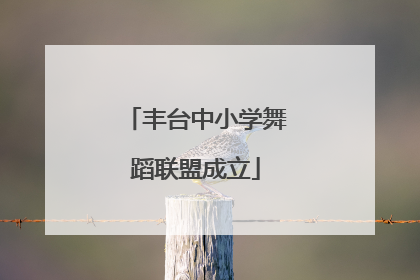 丰台中小学舞蹈联盟成立