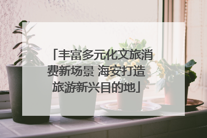 丰富多元化文旅消费新场景 海安打造旅游新兴目的地