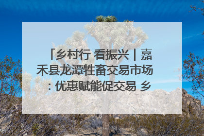 乡村行 看振兴｜嘉禾县龙潭牲畜交易市场：优惠赋能促交易 乡村振兴添动能