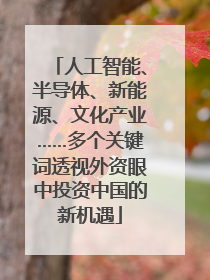 人工智能、半导体、新能源、文化产业……多个关键词透视外资眼中投资中国的新机遇
