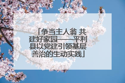 争当主人翁 共建好家园——平利县以党建引领基层善治的生动实践