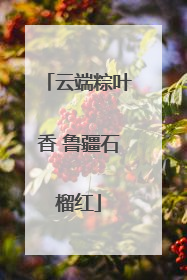 云端粽叶香 鲁疆石榴红