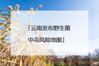 云南发布野生菌中毒风险地图