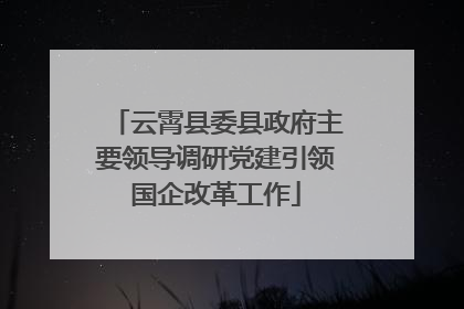 云霄县委县政府主要领导调研党建引领国企改革工作