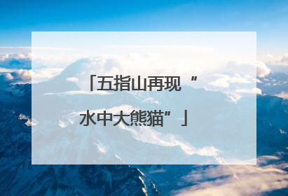 五指山再现“水中大熊猫”
