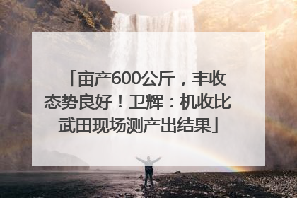 亩产600公斤，丰收态势良好！卫辉：机收比武田现场测产出结果